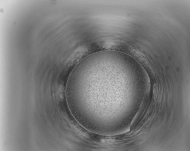 X0000088600470200706011207