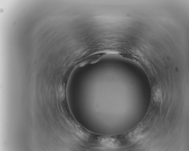 X0000088600471200706011207