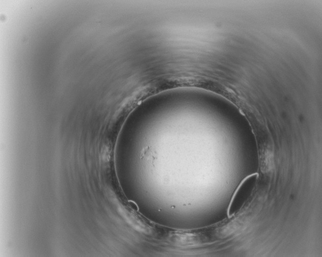 X0000088600472200706011207