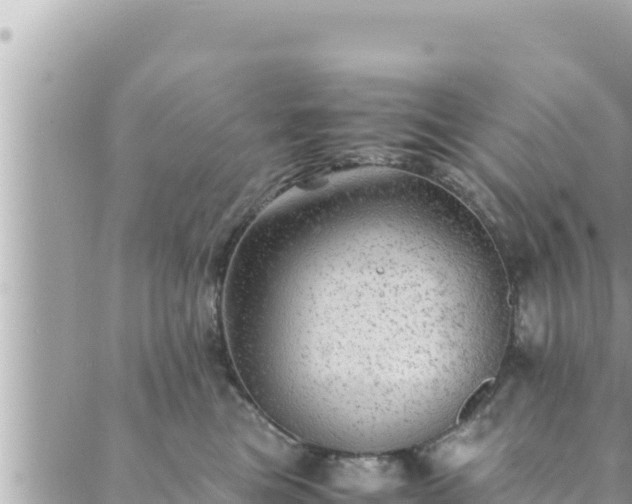 X0000088600473200706011207