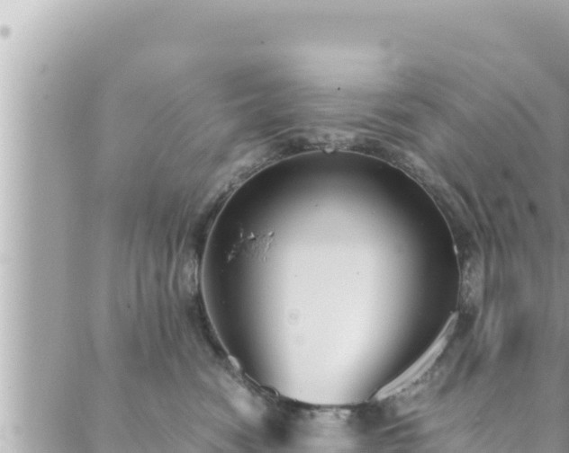 X0000088600474200706011207