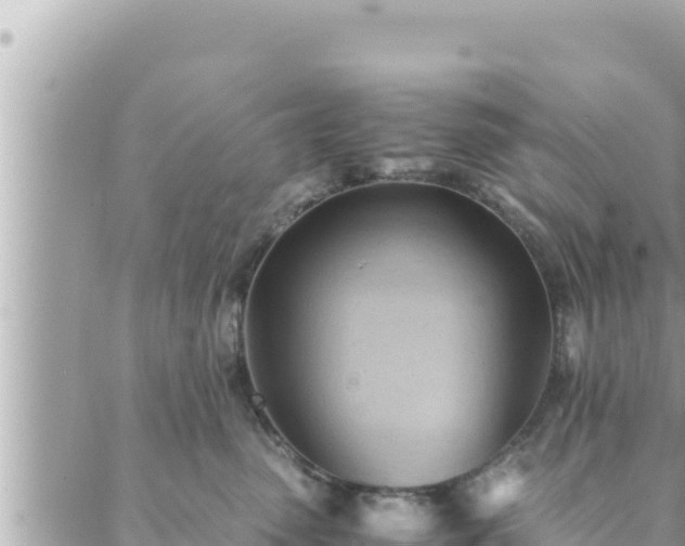 X0000088600475200706011207