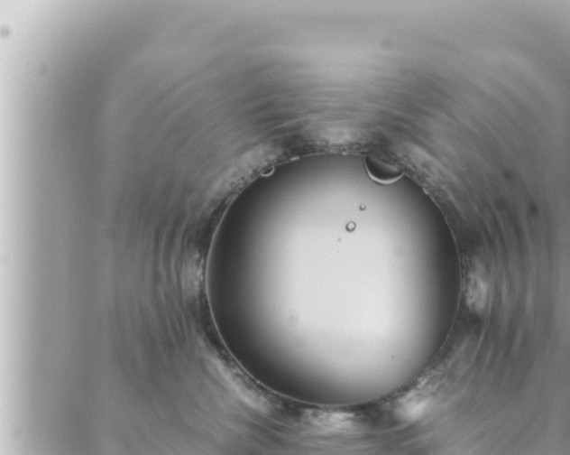 X0000088600476200706011207