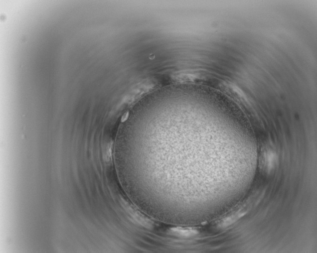 X0000088600477200706011207