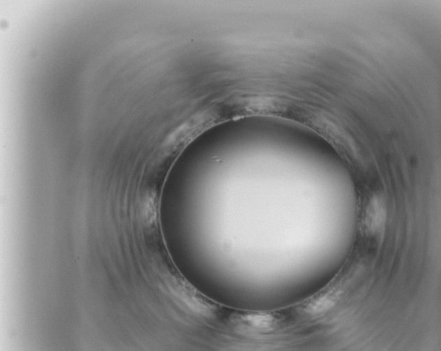 X0000088600478200706011207