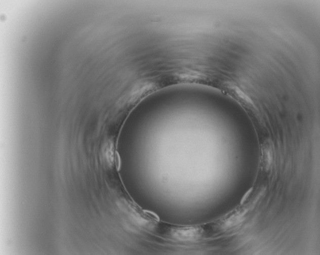 X0000088600479200706011207