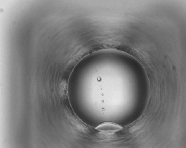 X0000088600480200706011207