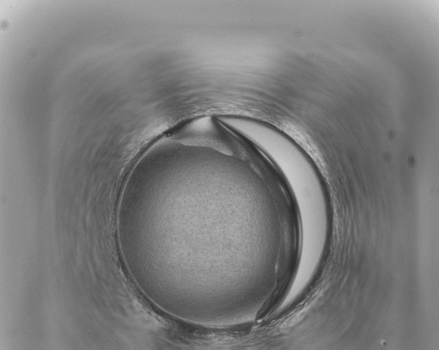 X0000088600481200706011206