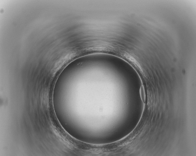 X0000088600482200706011206