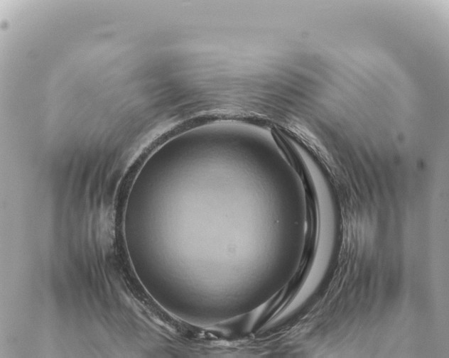 X0000088600484200706011206