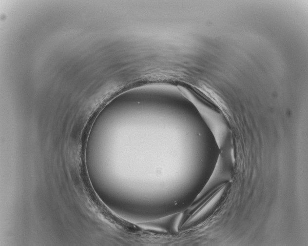 X0000088600485200706011206