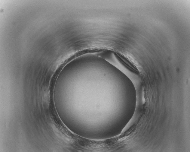 X0000088600488200706011206