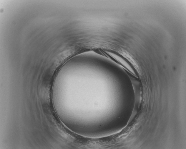 X0000088600489200706011206