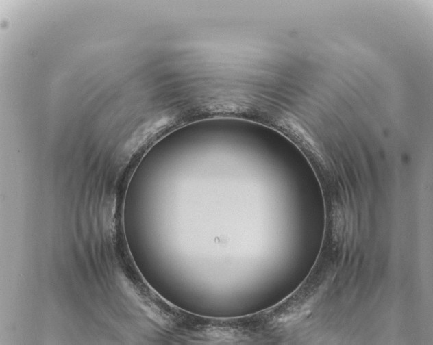 X0000088600490200706011206