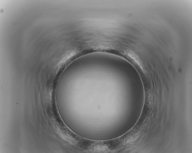 X0000088600491200706011206