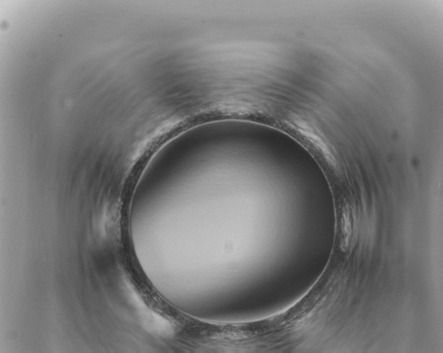 X0000088600492200706011206