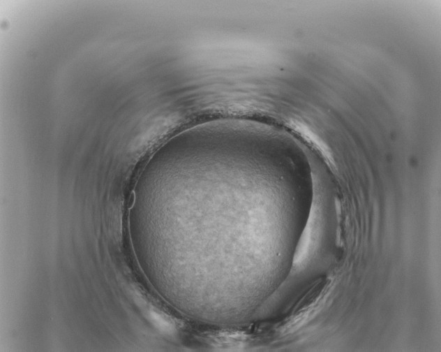 X0000088600493200706011206