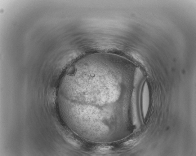 X0000088600495200706011206