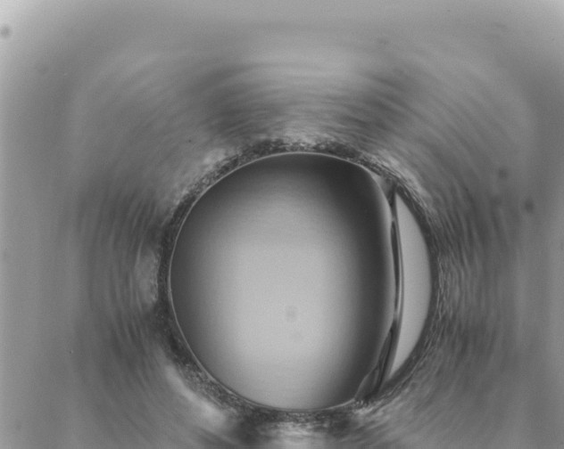 X0000088600496200706011206