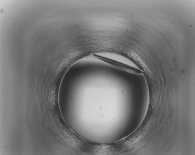 X0000088600497200706011206