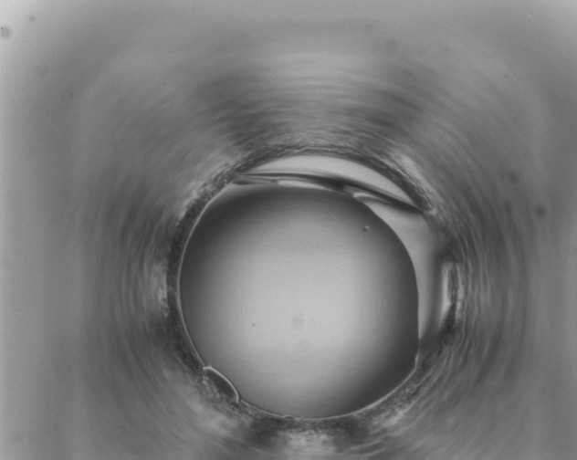 X0000088600500200706011206