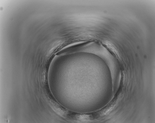 X0000088600501200706011206