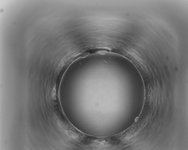 X0000088600502200706011206