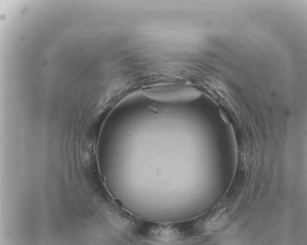 X0000088600503200706011206