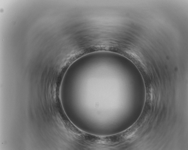 X0000088600504200706011206