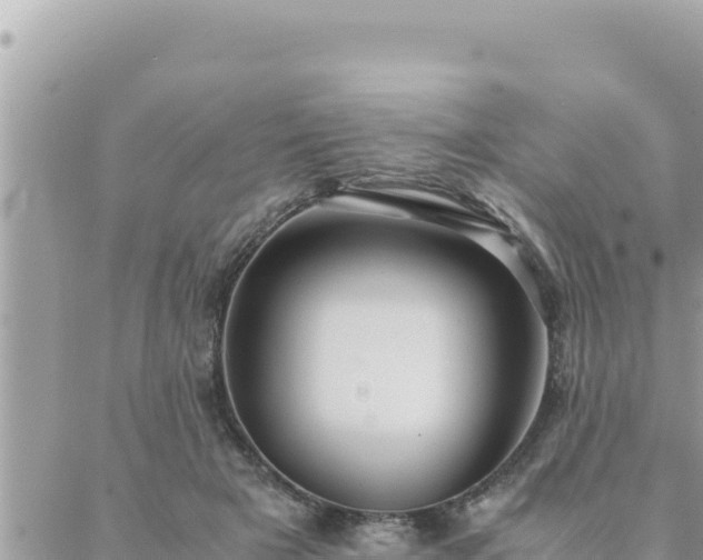 X0000088600505200706011206