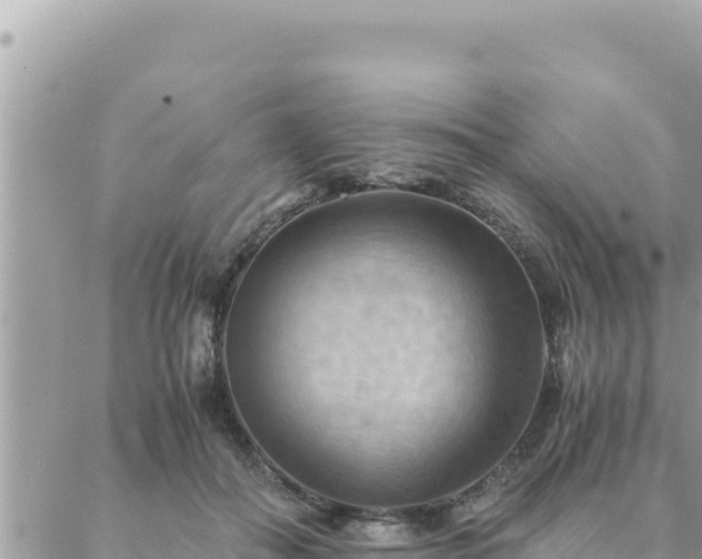 X0000088600506200706011206