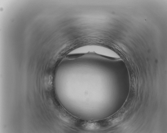 X0000088600507200706011206