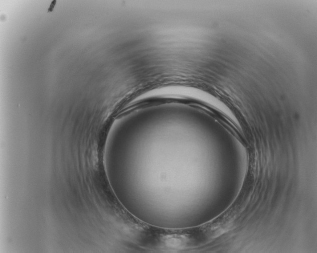 X0000088600508200706011206