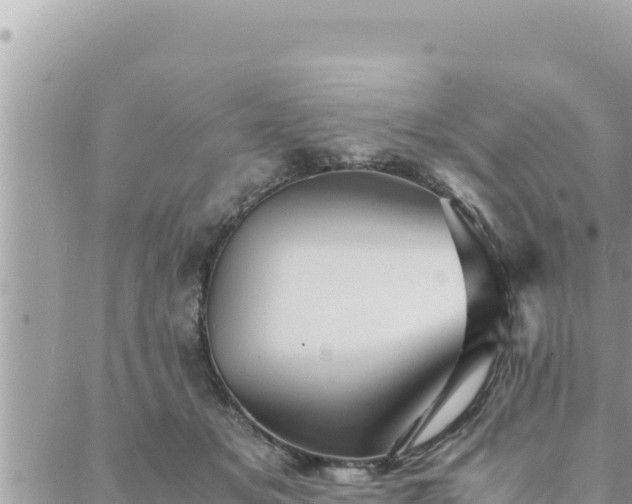 X0000088600509200706011206