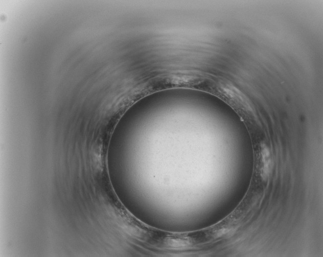 X0000088600510200706011206