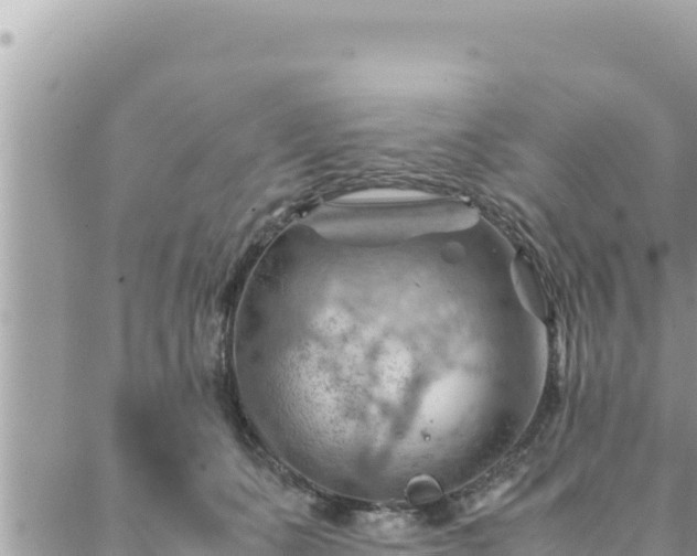 X0000088600511200706011206