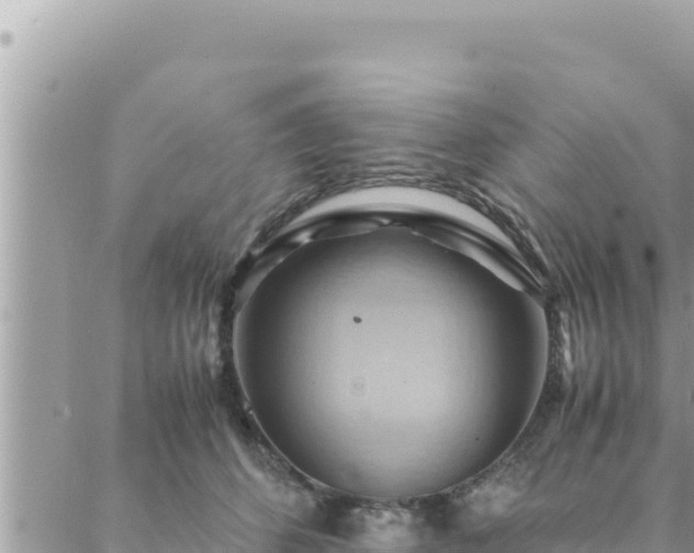 X0000088600512200706011206