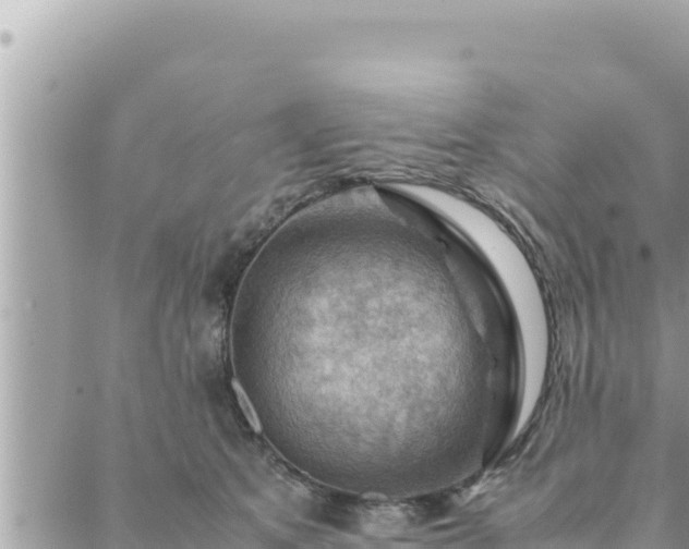 X0000088600513200706011206