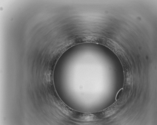 X0000088600514200706011206