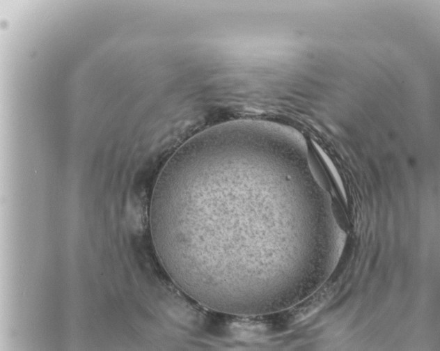 X0000088600515200706011206