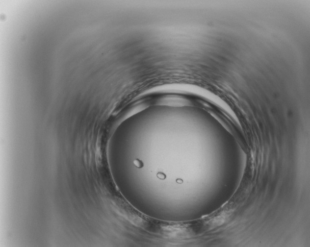 X0000088600516200706011206