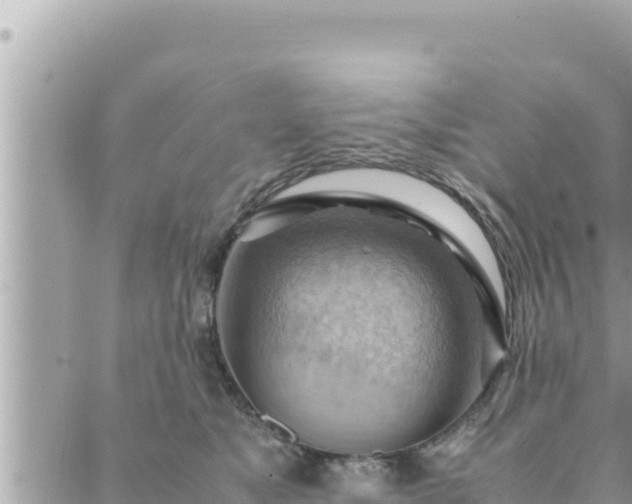 X0000088600517200706011206