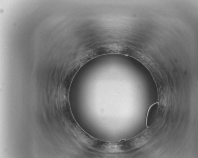 X0000088600518200706011206