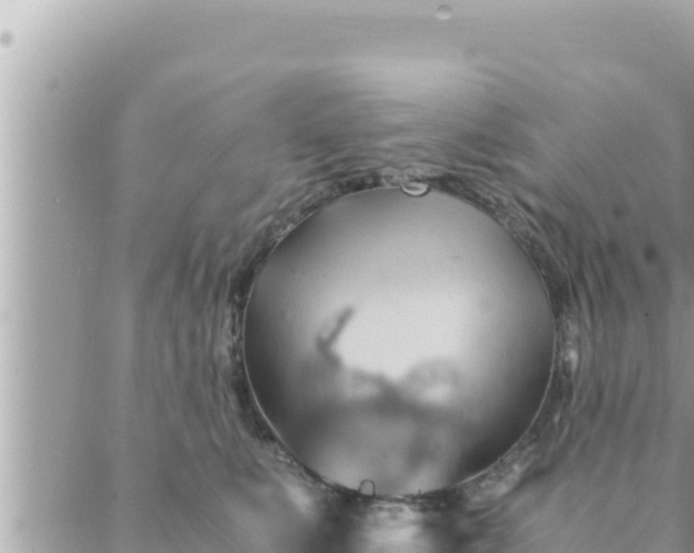 X0000088600519200706011206