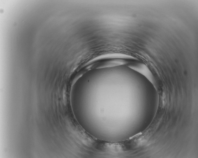 X0000088600520200706011206