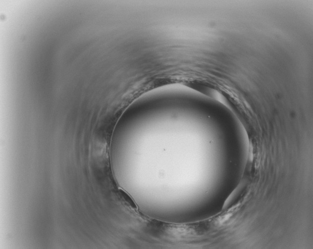 X0000088600521200706011206