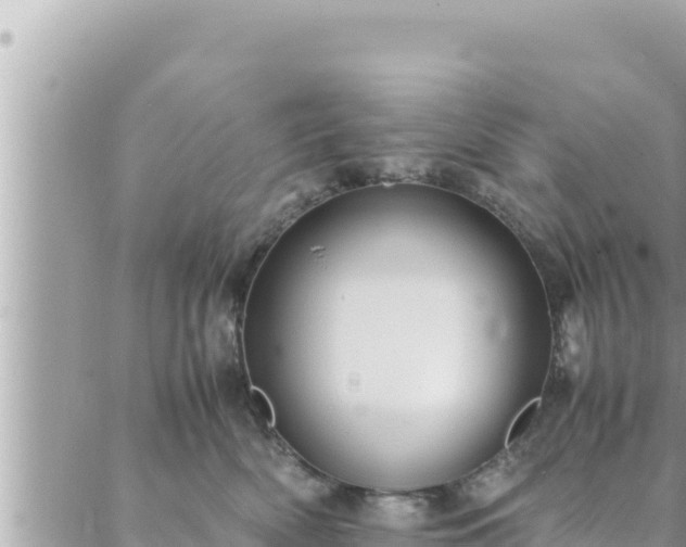 X0000088600522200706011206