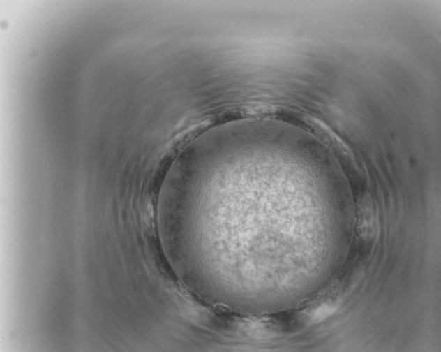 X0000088600523200706011206