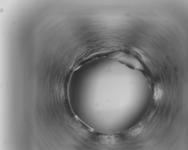 X0000088600524200706011206