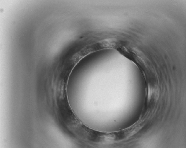 X0000088600525200706011206